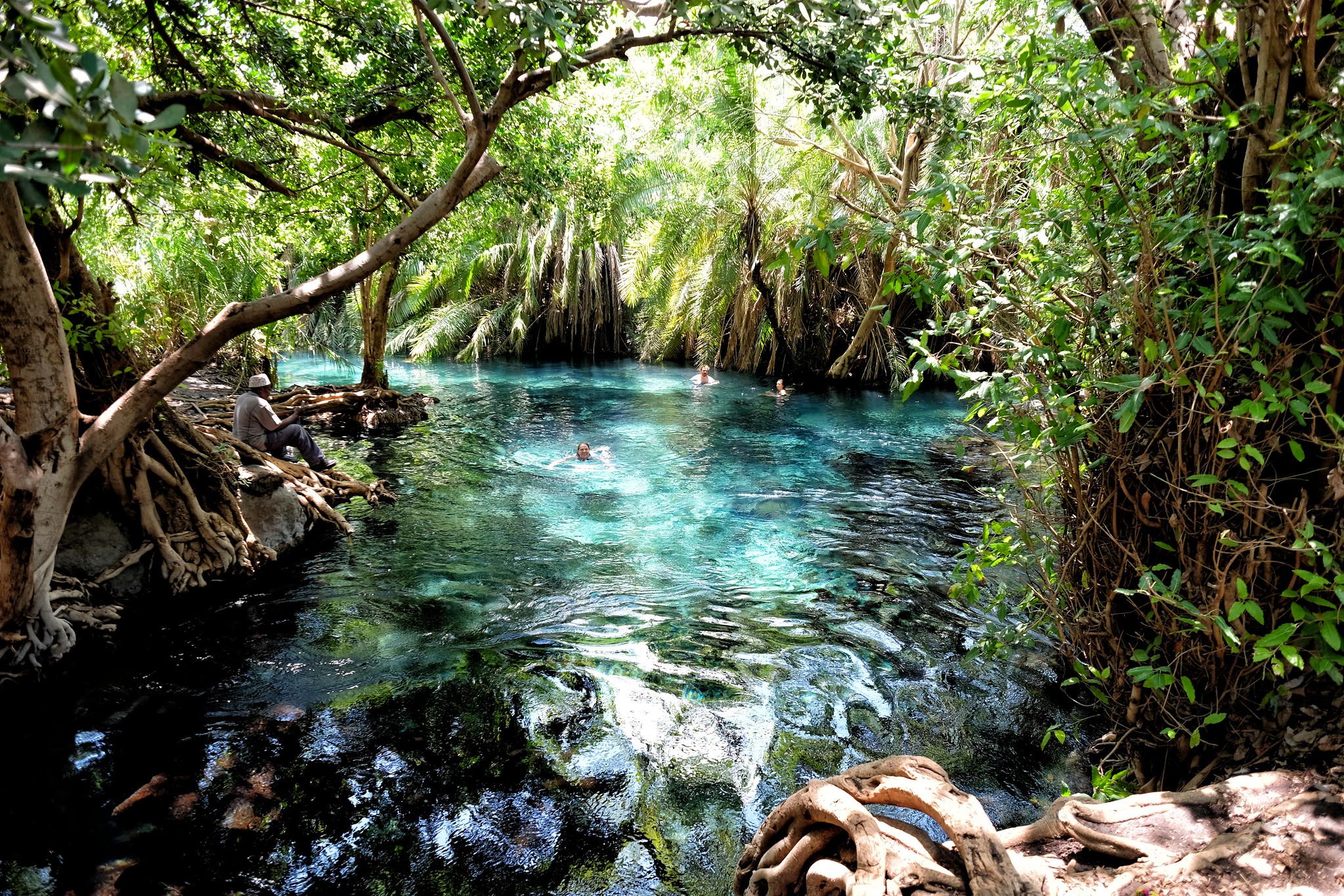 Chemka Hot Springs Day Tour