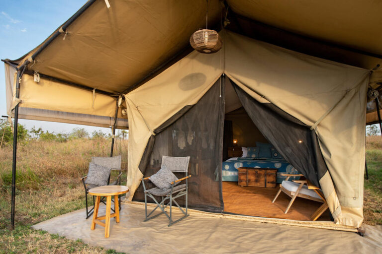 Budget Camping Safaris