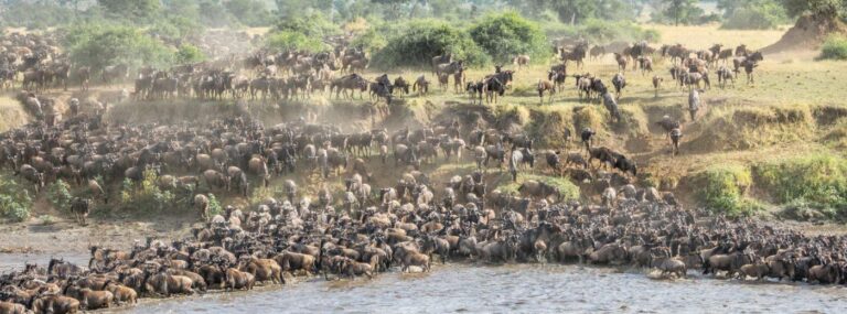 7 Days Tanzania Wildebeest Migration Tour