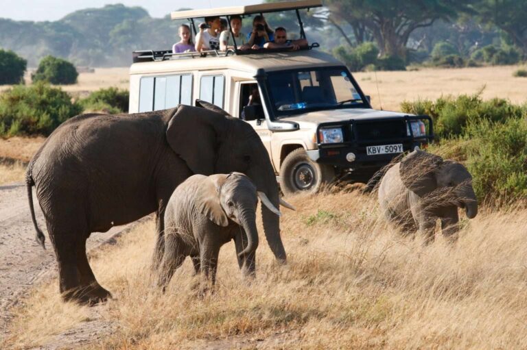 9 Days Kenya and Tanzania Safari Experience