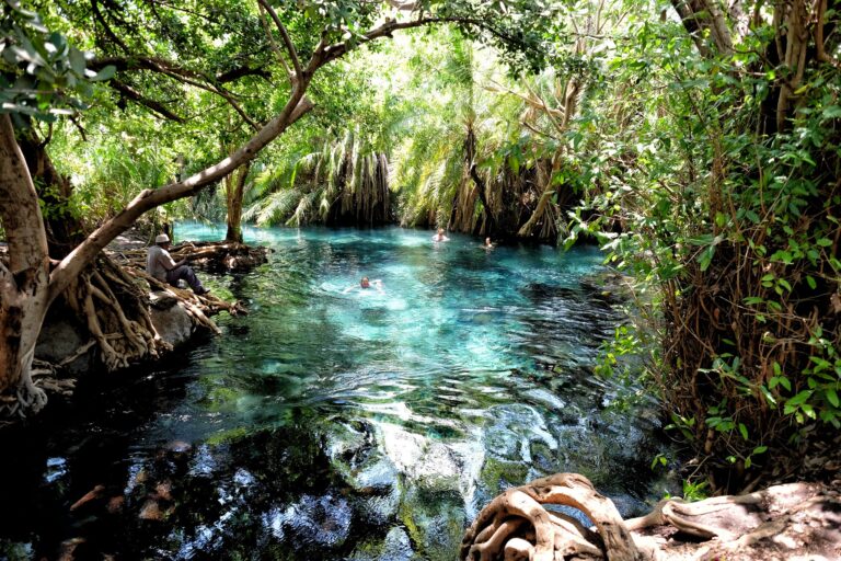 Chemka Hot Springs Day Tour