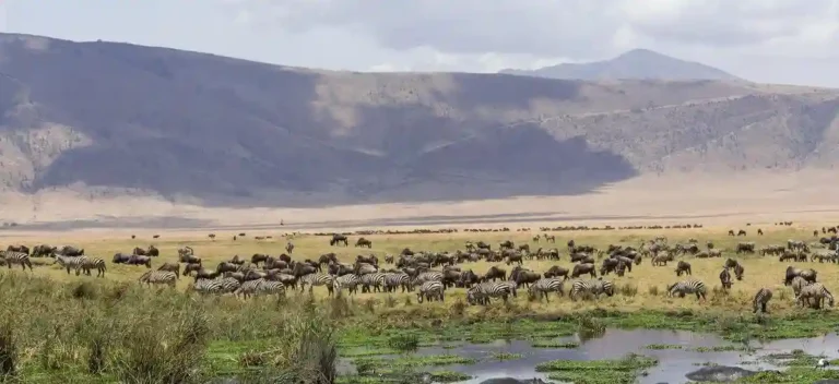 10 Hidden Gems in Tanzania: Beyond Serengeti & Ngorongoro