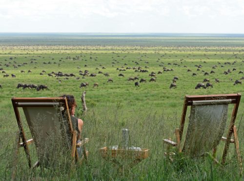 Masai Mara by K&G Tanzania Travel Specialist